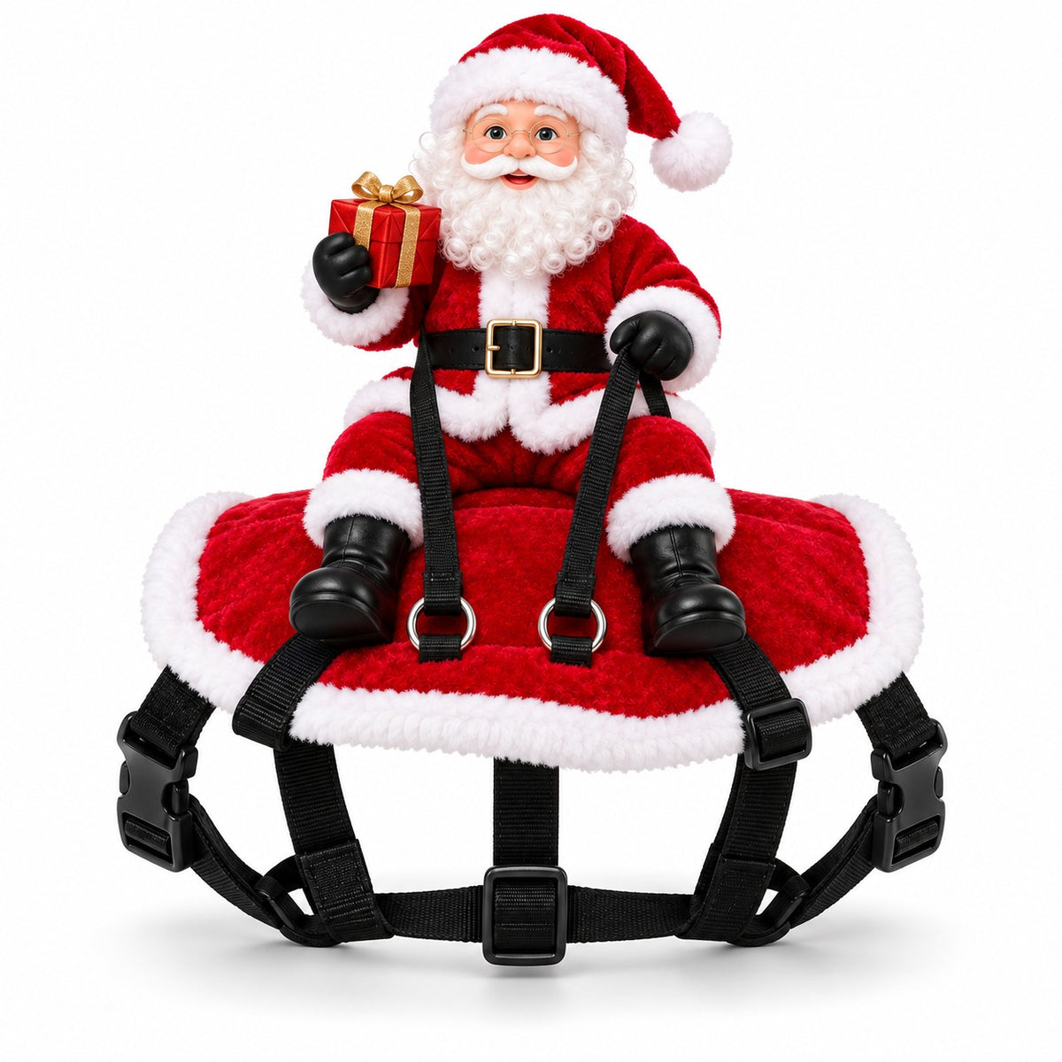 Santa Rider Pet Costume