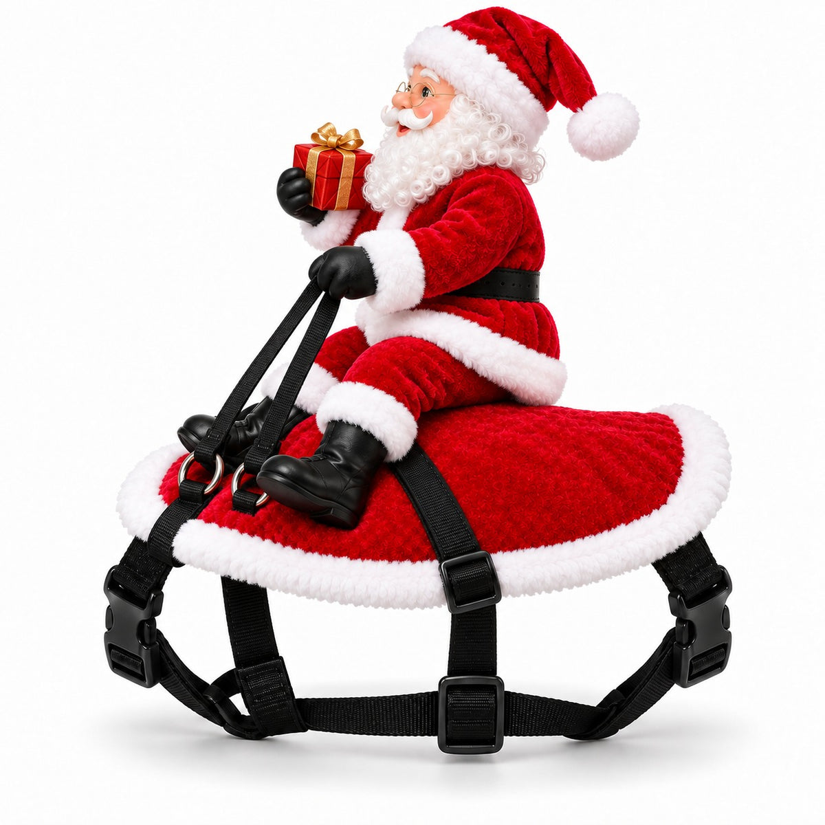 Santa Rider Pet Costume