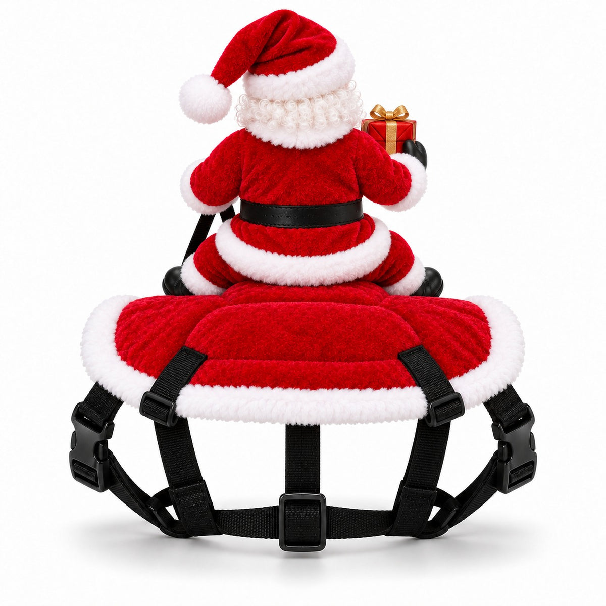 Santa Rider Pet Costume